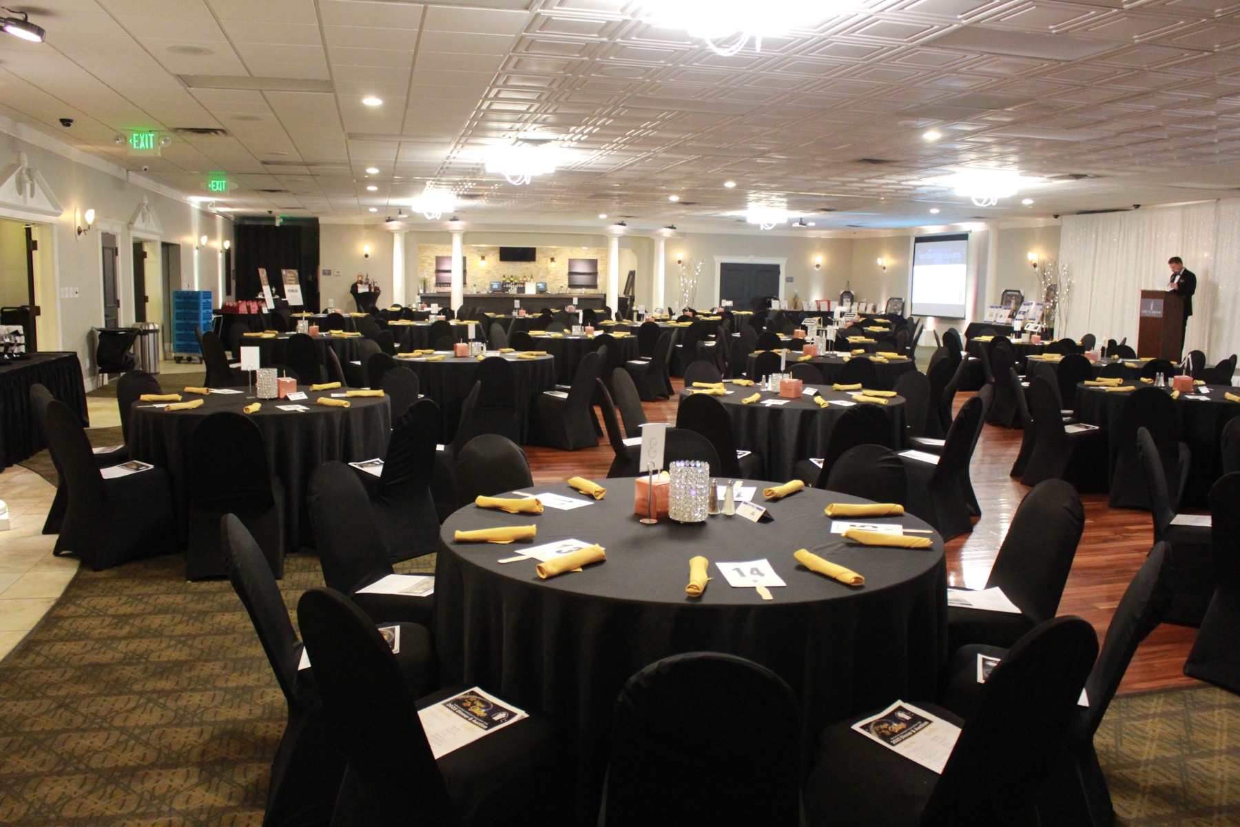 38th Annual Dinner & Auction -  A Night to Shine!