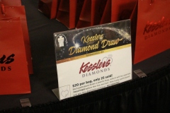 38th Annual Dinner & Auction -  A Night to Shine!