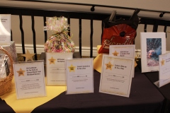 38th Annual Dinner & Auction -  A Night to Shine!