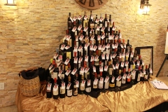 38th Annual Dinner & Auction -  A Night to Shine!