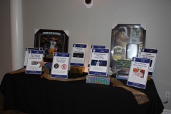 38th Annual Dinner & Auction -  A Night to Shine!