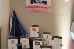 38th Annual Dinner & Auction -  A Night to Shine!