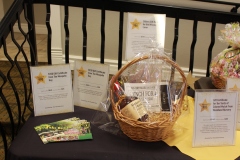 38th Annual Dinner & Auction -  A Night to Shine!