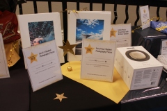 38th Annual Dinner & Auction -  A Night to Shine!