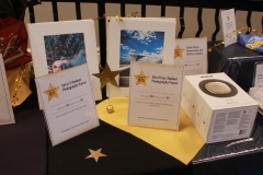38th Annual Dinner & Auction -  A Night to Shine!
