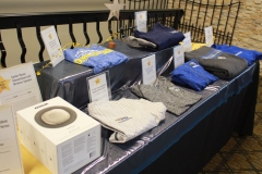 38th Annual Dinner & Auction -  A Night to Shine!