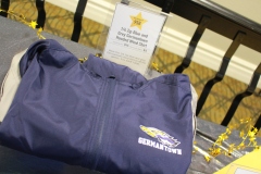 38th Annual Dinner & Auction -  A Night to Shine!