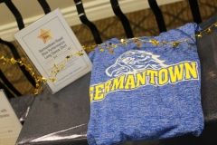 38th Annual Dinner & Auction -  A Night to Shine!