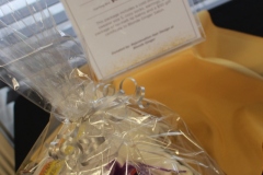 38th Annual Dinner & Auction -  A Night to Shine!