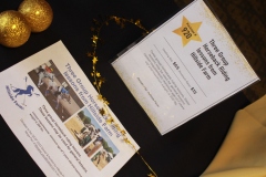 38th Annual Dinner & Auction -  A Night to Shine!