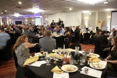 38th Annual Dinner & Auction -  A Night to Shine!